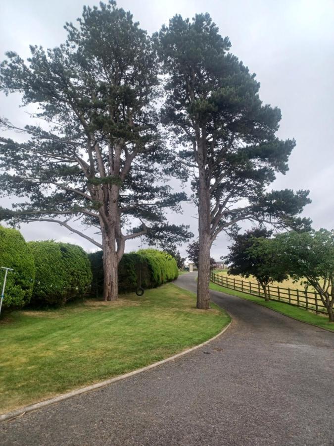 Apartamento Loughview Retreat In The Mournes Newcastle  Exterior foto